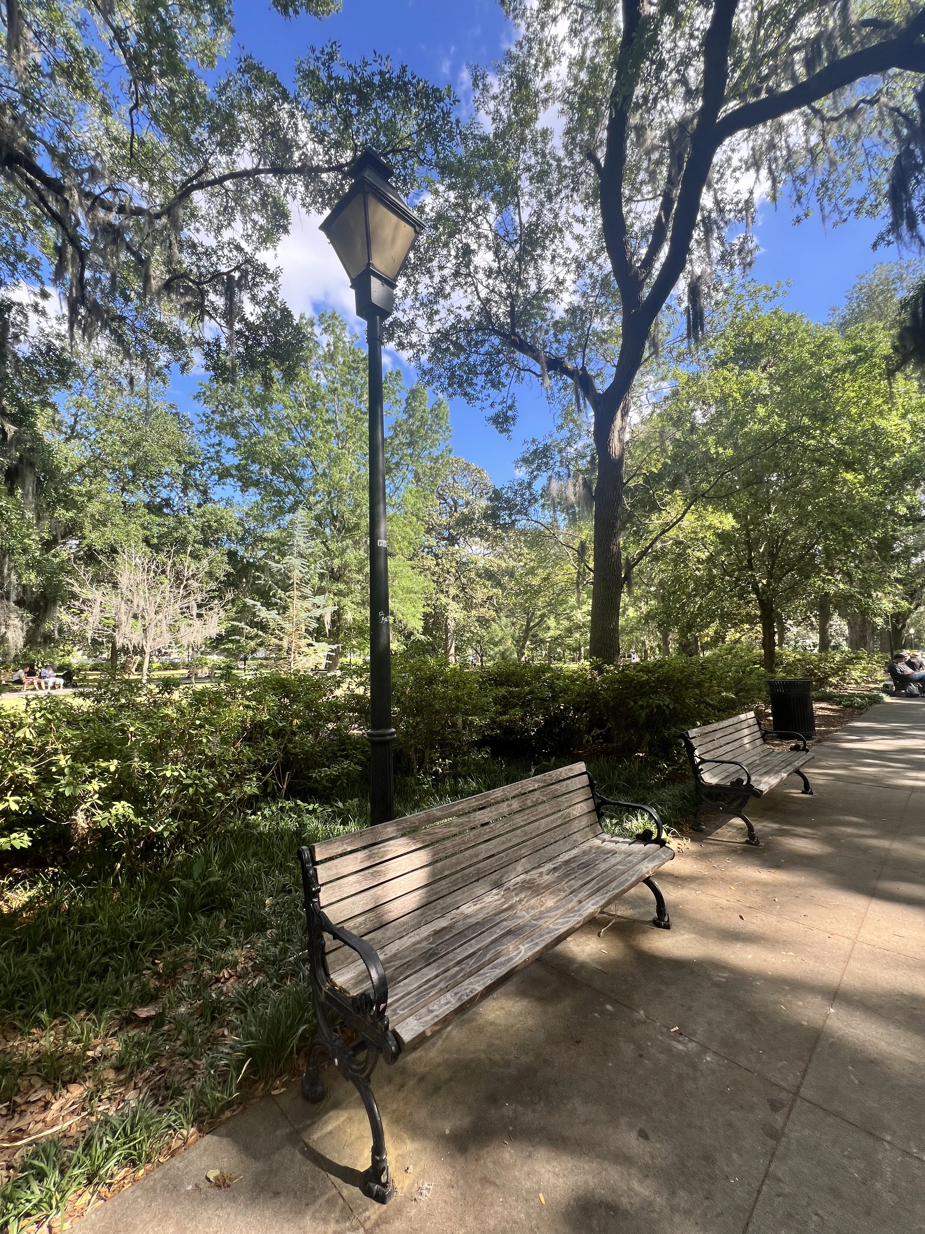 The Art of Summer Lampin'